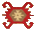 Cluster Cluster